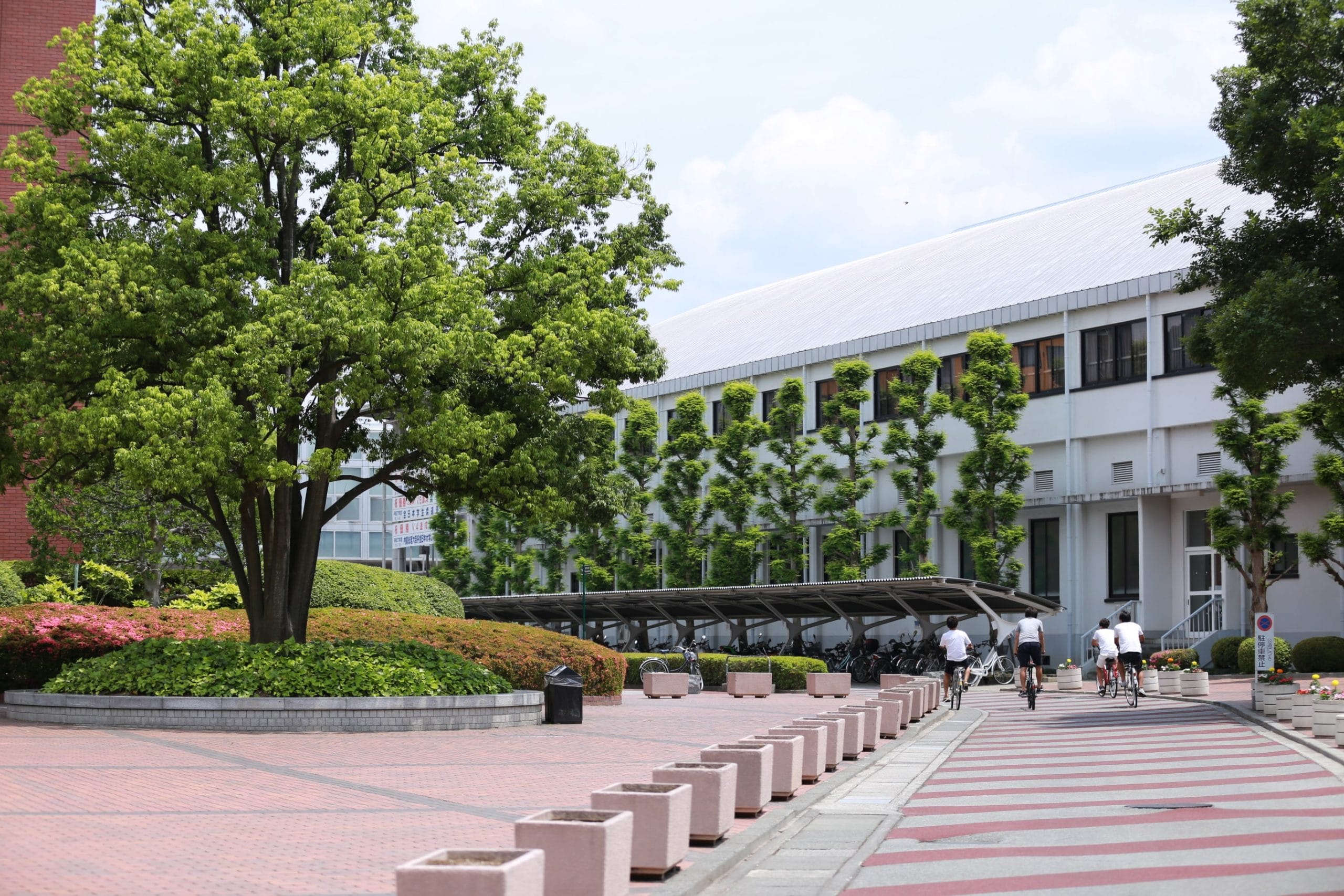 Students cycling down road through Yamanashi Gakuin University