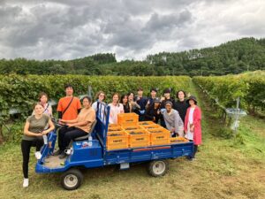 A group photo of iCLA international students and Faculty of Business Administration students harvesting grapes used to make Japanese wine at Monde Winery's vineyard.